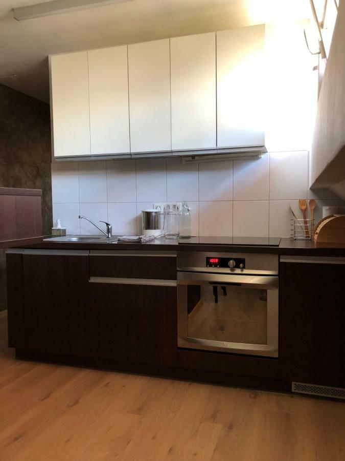 Trakai Old Town Apartment Εξωτερικό φωτογραφία